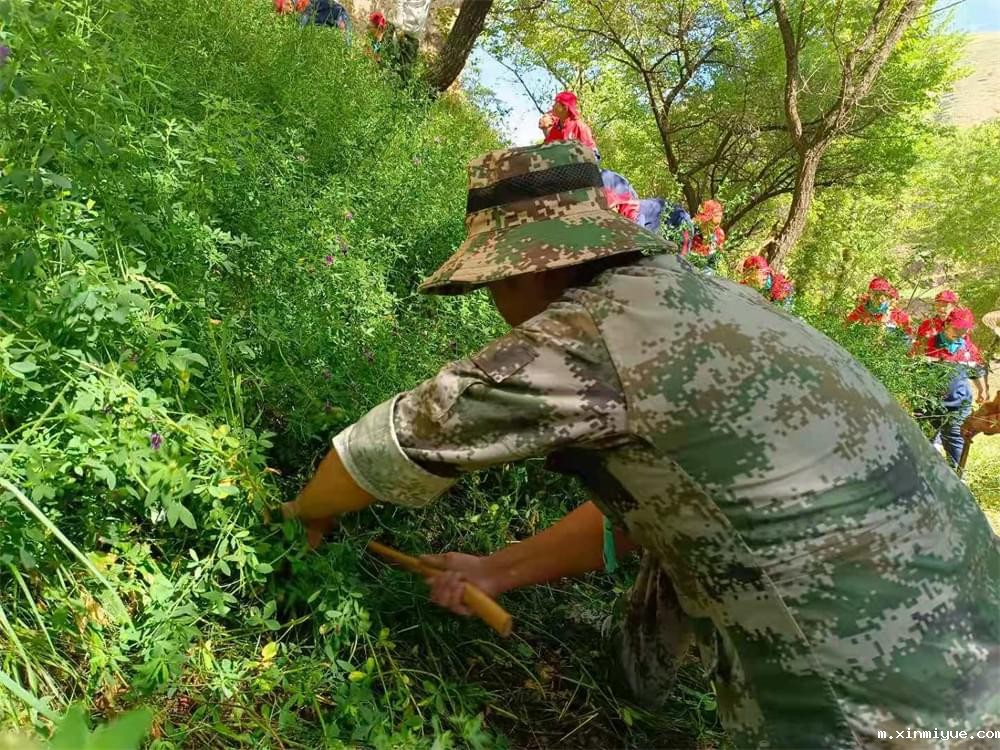 2021年必威betway中文官网暑期夏令营第二期第三天：滴水之恩，割草相报！_m.xinmiyue.com