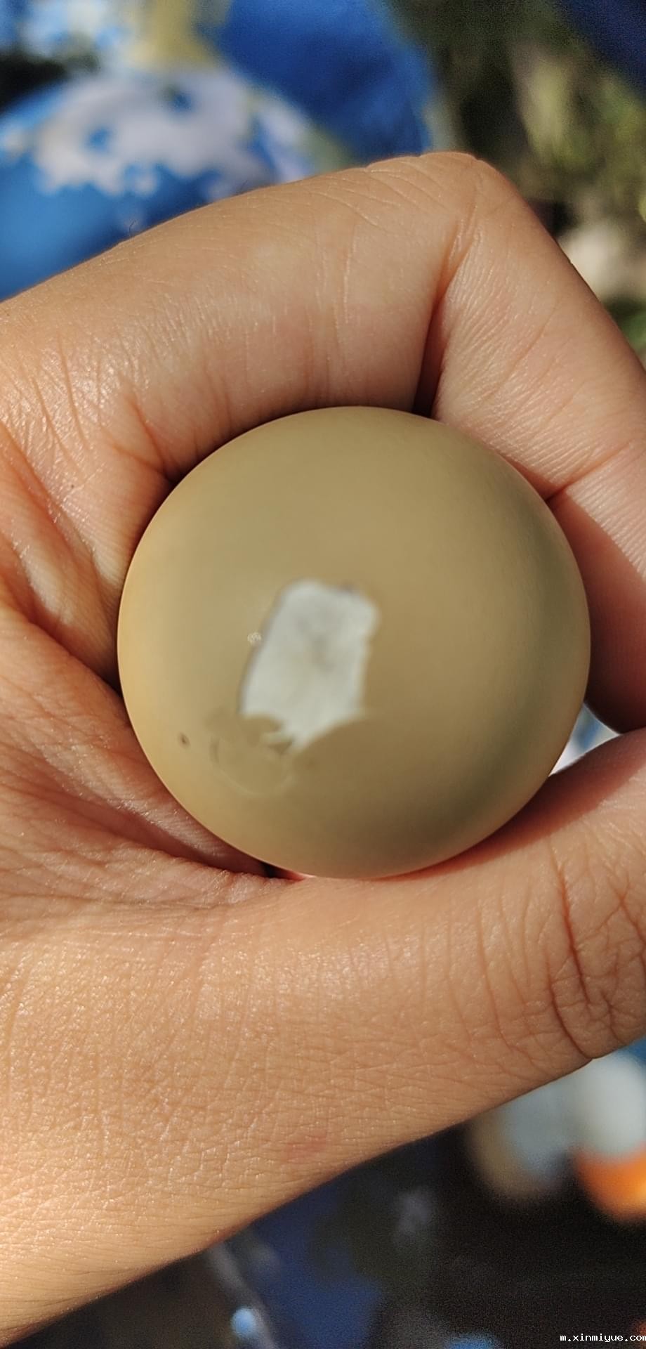 2021年必威betway中文官网暑期夏令营第二期第三天：滴水之恩，割草相报！_m.xinmiyue.com