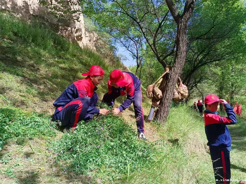 2021年必威betway中文官网暑期夏令营第二期第三天：滴水之恩，割草相报！_m.xinmiyue.com