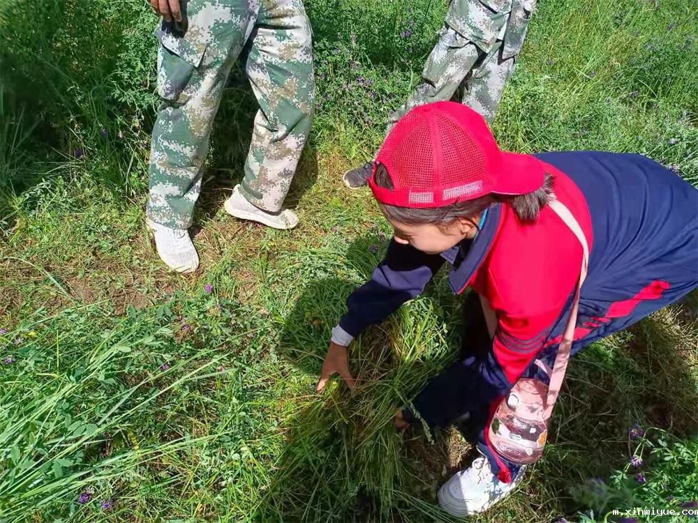 2021年必威betway中文官网暑期夏令营第二期第三天：滴水之恩，割草相报！_m.xinmiyue.com