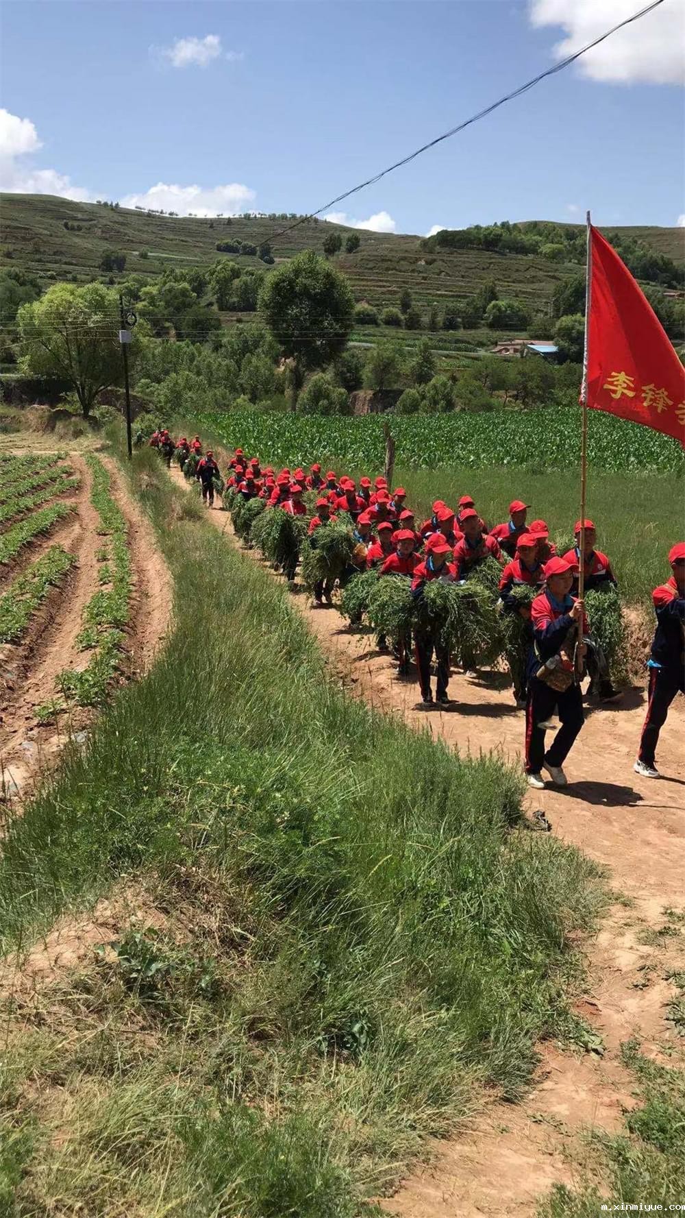 2021年必威betway中文官网暑期夏令营第二期第三天：滴水之恩，割草相报！_m.xinmiyue.com