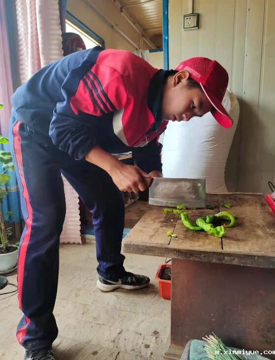 负债10万元的农村家庭怎样给孩子好的教育？_m.xinmiyue.com