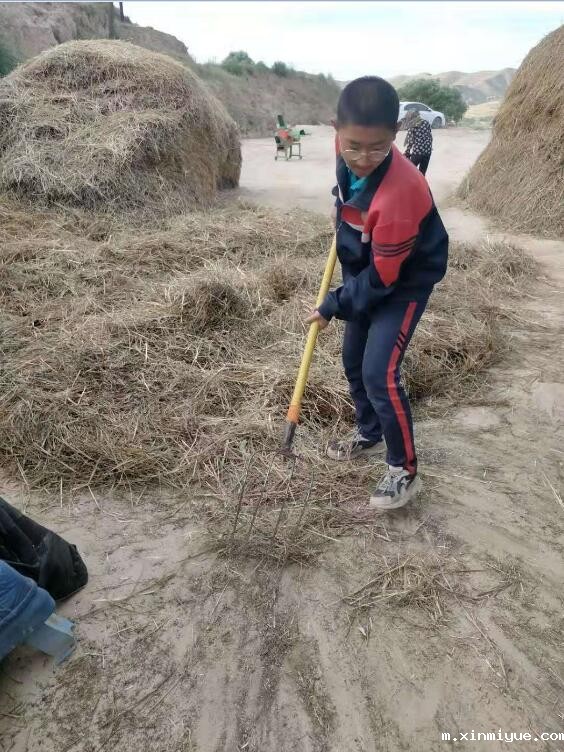 负债10万元的农村家庭怎样给孩子好的教育？_m.xinmiyue.com