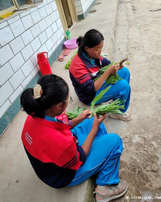 七口人的贫困家庭，怎样给三兄弟好的教育？_m.xinmiyue.com