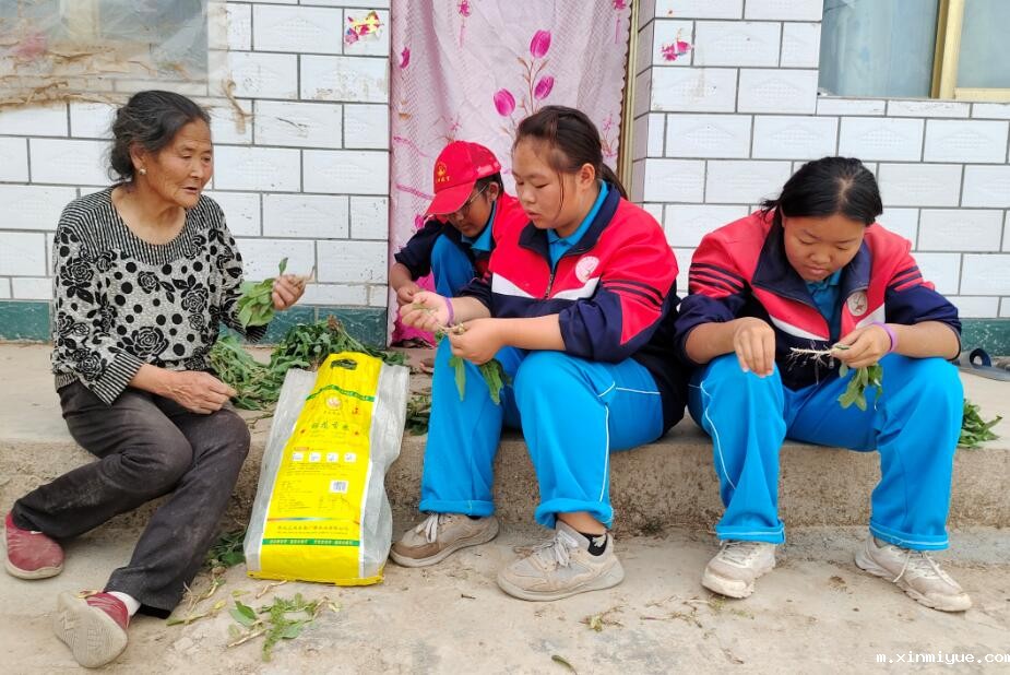 七口人的贫困家庭，怎样给三兄弟好的教育？_m.xinmiyue.com