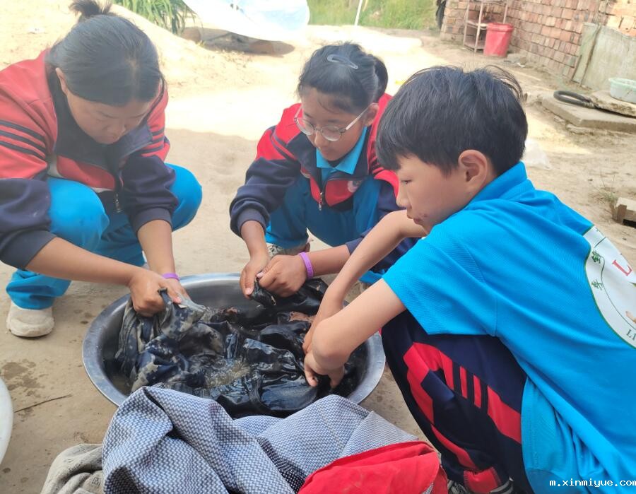 七口人的贫困家庭，怎样给三兄弟好的教育？_m.xinmiyue.com