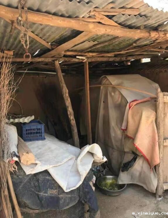 高世博 三口单亲之家 欠贷两万元_m.xinmiyue.com