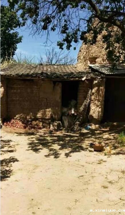 候雪燕 七口之家 年入不足5000_m.xinmiyue.com