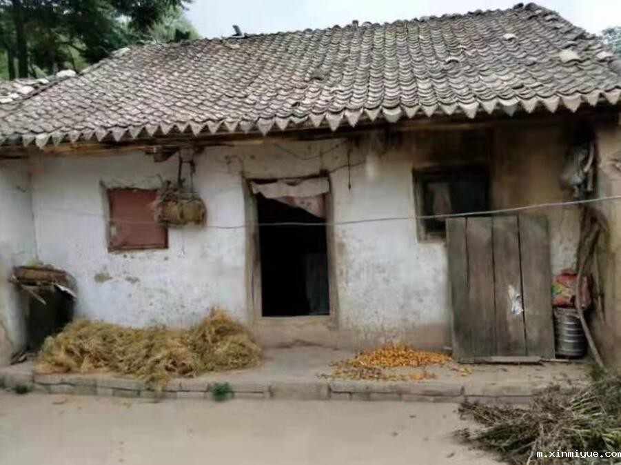 王岔 四口之家 靠2000元养老金度日_m.xinmiyue.com