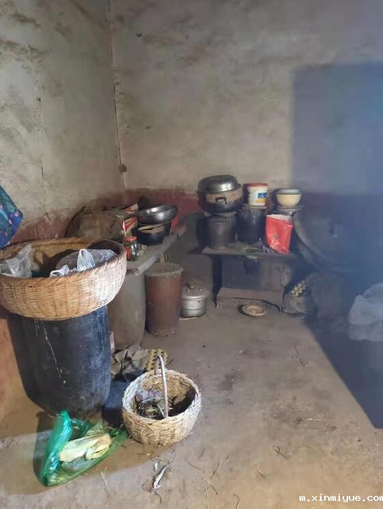 杨凯鹏 六口之家 年入不足5000元_m.xinmiyue.com