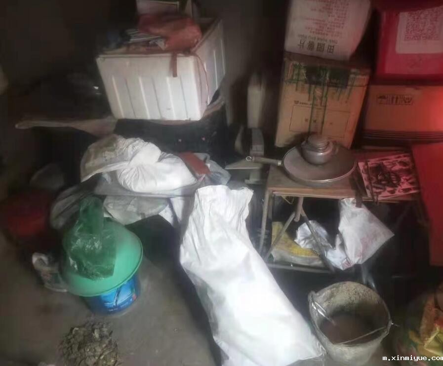 朱彤 三口之家 年入不足5000元_m.xinmiyue.com