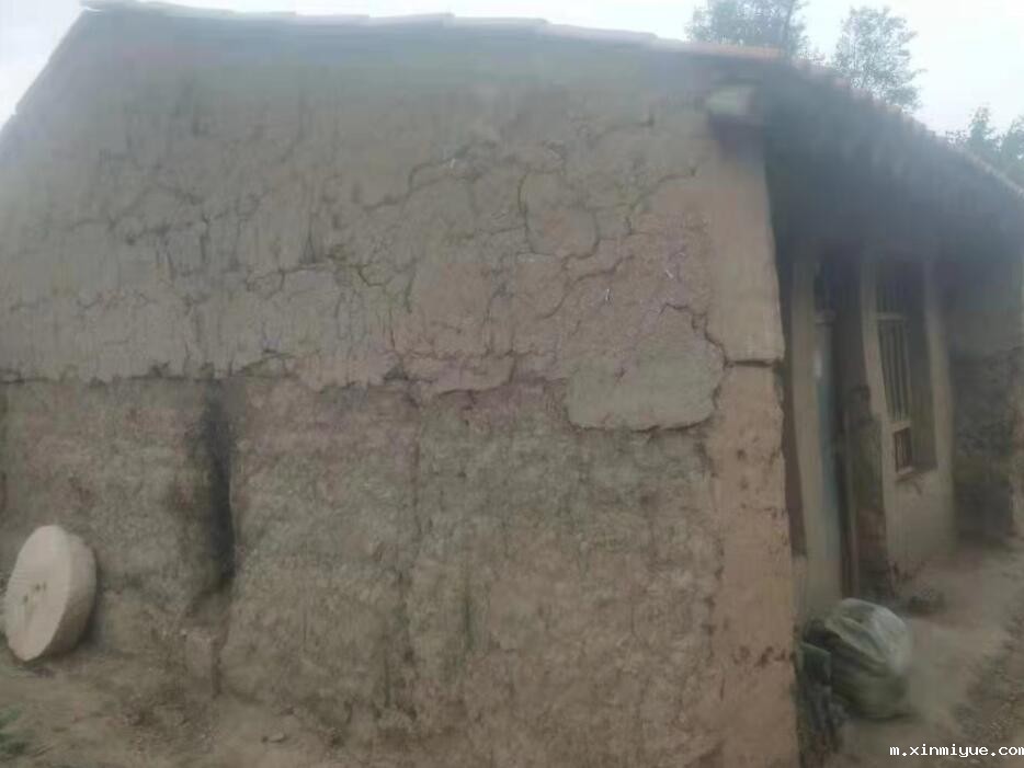 朱彤 三口之家 年入不足5000元_m.xinmiyue.com