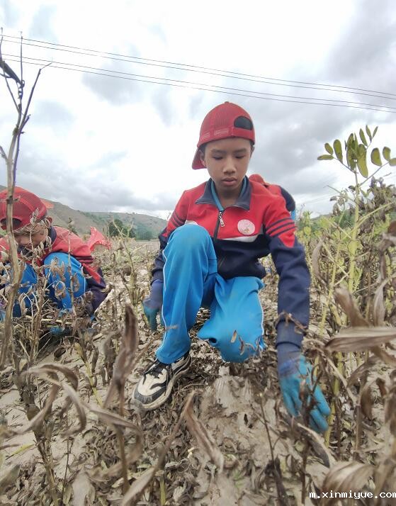 军事夏令营对孩子有帮助吗？_m.xinmiyue.com