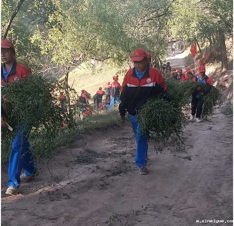 2021年必威betway中文官网夏令营第三期第5天：太阳下捡麦穗的日子_m.xinmiyue.com