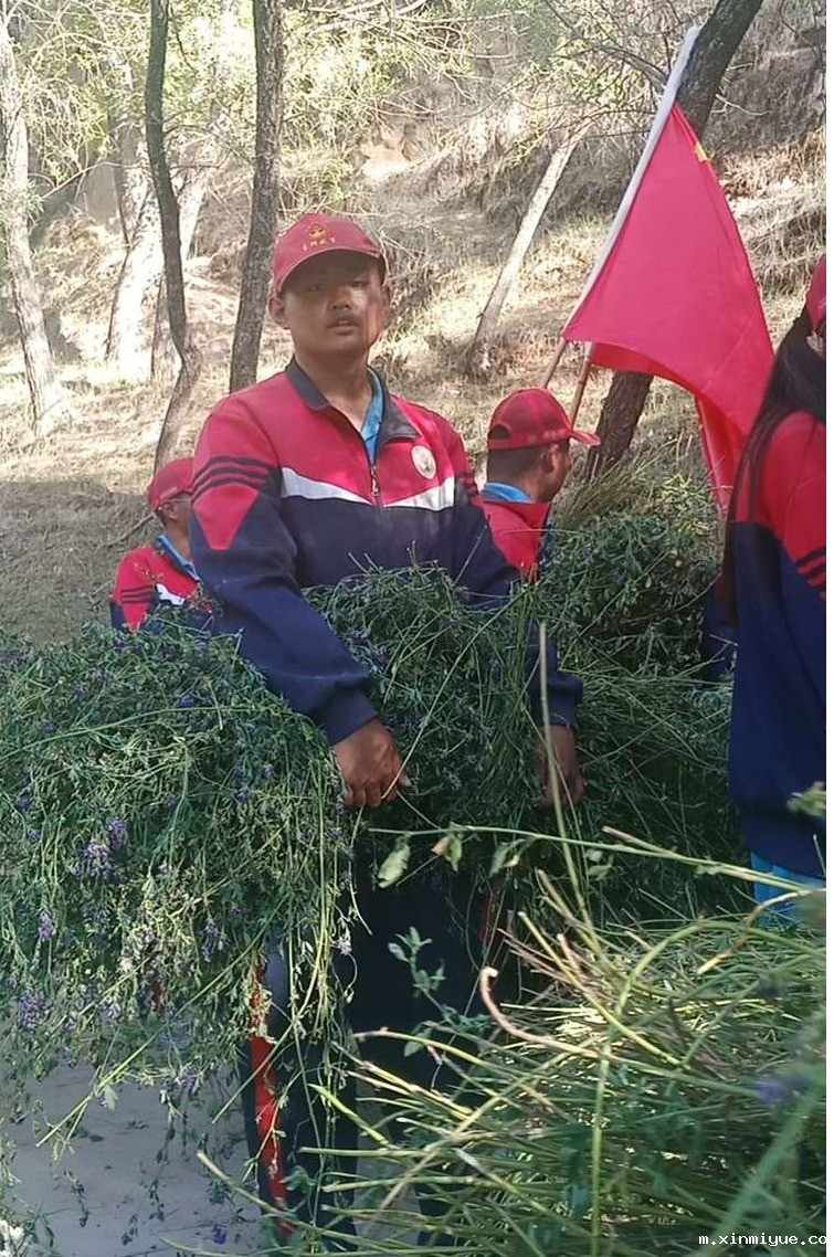 2021年必威betway中文官网夏令营第三期第5天：太阳下捡麦穗的日子_m.xinmiyue.com