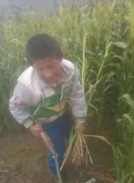 郑家源 六口之家 欠债十几万元