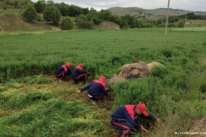 2022年让孩子体验夏令营的意义在哪里_m.xinmiyue.com
