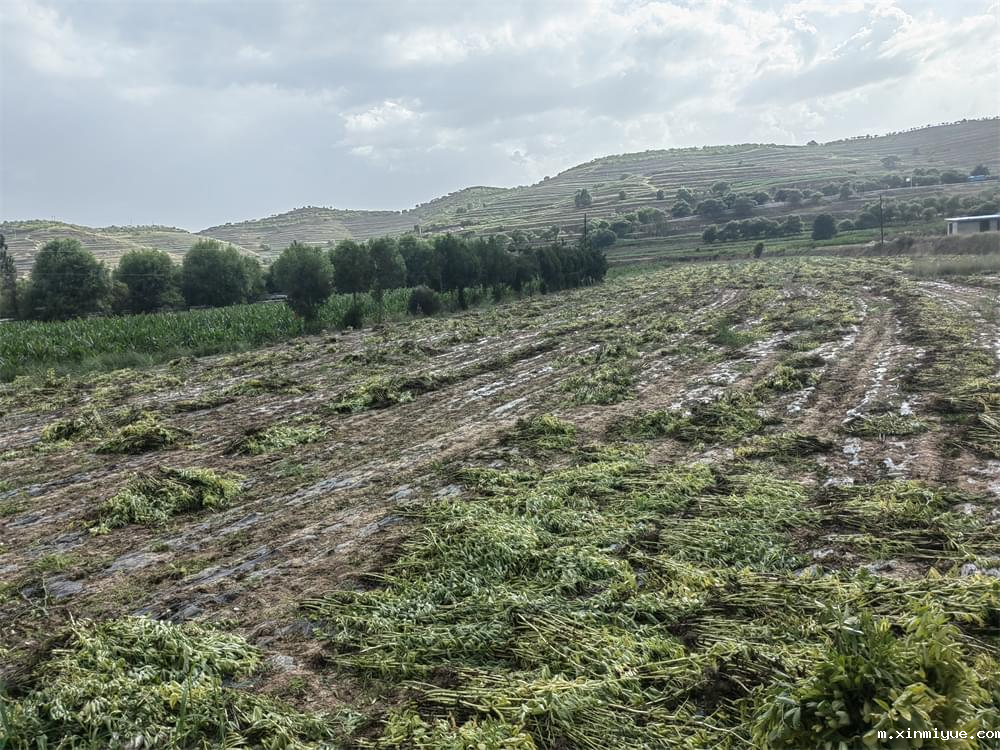 为青春期孩子寻求解压之法，让孩子自由健康成长、沐浴阳光！_m.xinmiyue.com