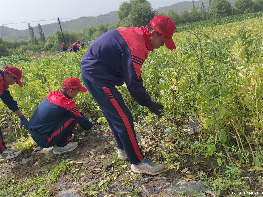 双减之后，陪读路上的老妈们还能母慈子孝吗_m.xinmiyue.com