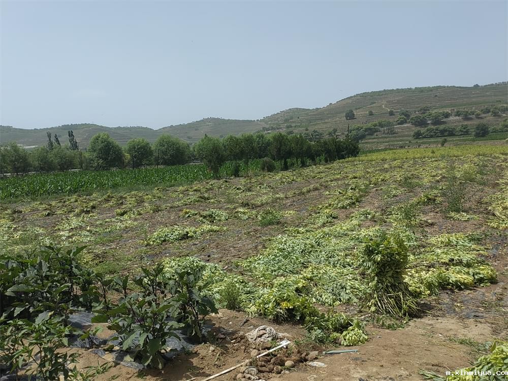 双减之后，陪读路上的老妈们还能母慈子孝吗_m.xinmiyue.com