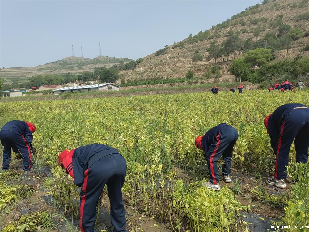 双减之后，陪读路上的老妈们还能母慈子孝吗_m.xinmiyue.com