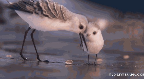 致家长：毁掉孩子人生的第一“杀手”，不是打骂，不是贫穷，而是10岁前......_m.xinmiyue.com