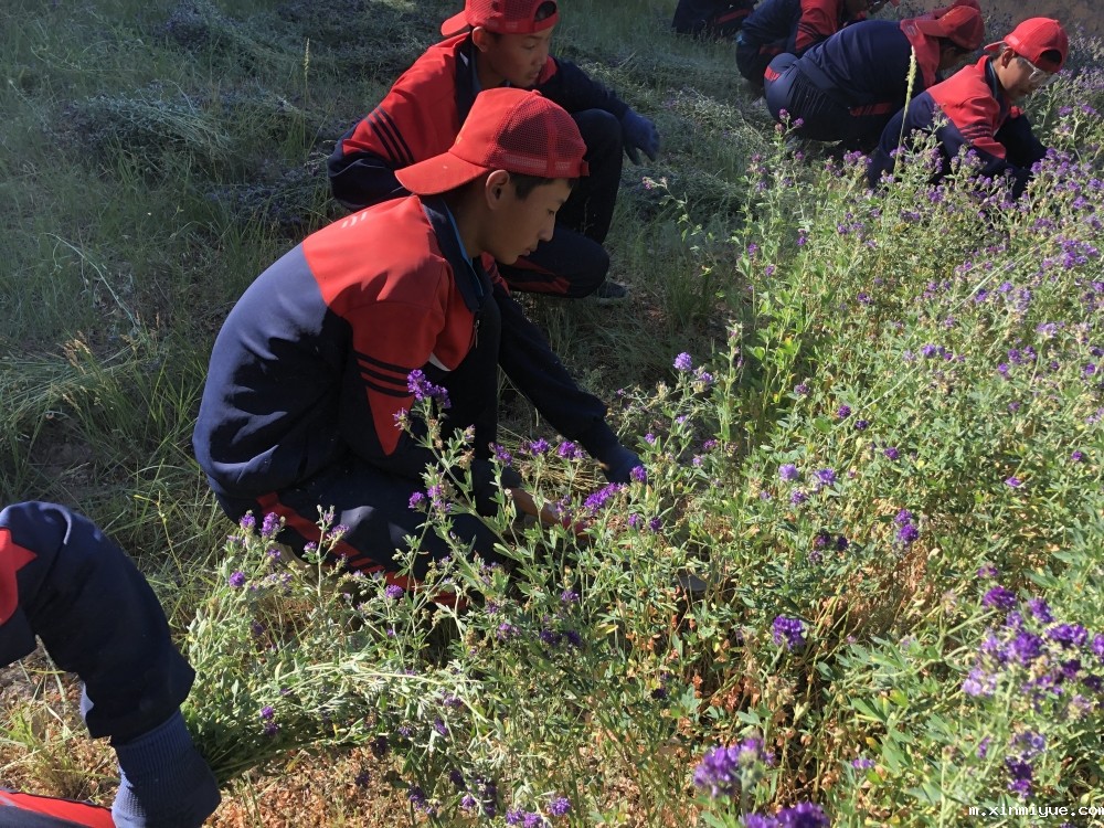 必威betway中文官网「2022年成长不烦恼」磨炼营第12天：让孩子忆苦思甜懂感恩_m.xinmiyue.com