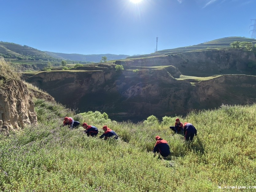 必威betway中文官网「2022年成长不烦恼」磨炼营第12天：让孩子忆苦思甜懂感恩_m.xinmiyue.com