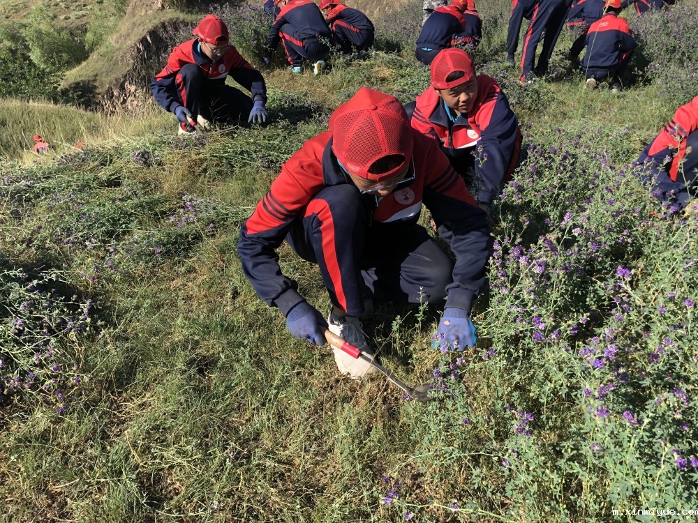 必威betway中文官网「2022年成长不烦恼」磨炼营第12天：让孩子忆苦思甜懂感恩_m.xinmiyue.com