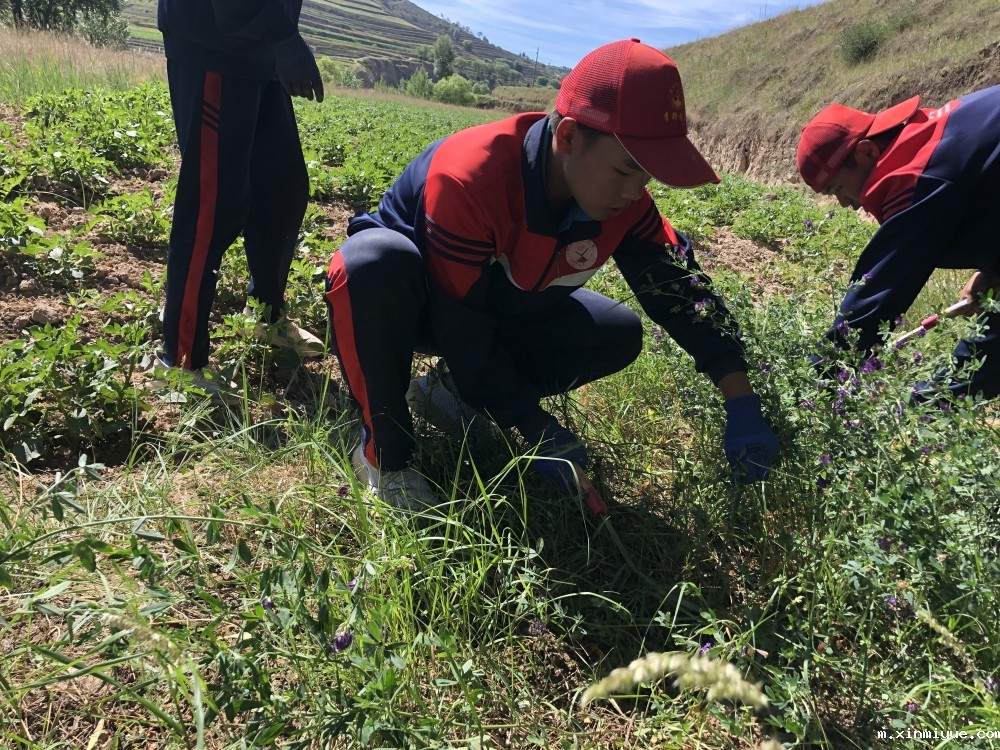 必威betway中文官网「2022年成长不烦恼」磨炼营第12天：让孩子忆苦思甜懂感恩_m.xinmiyue.com