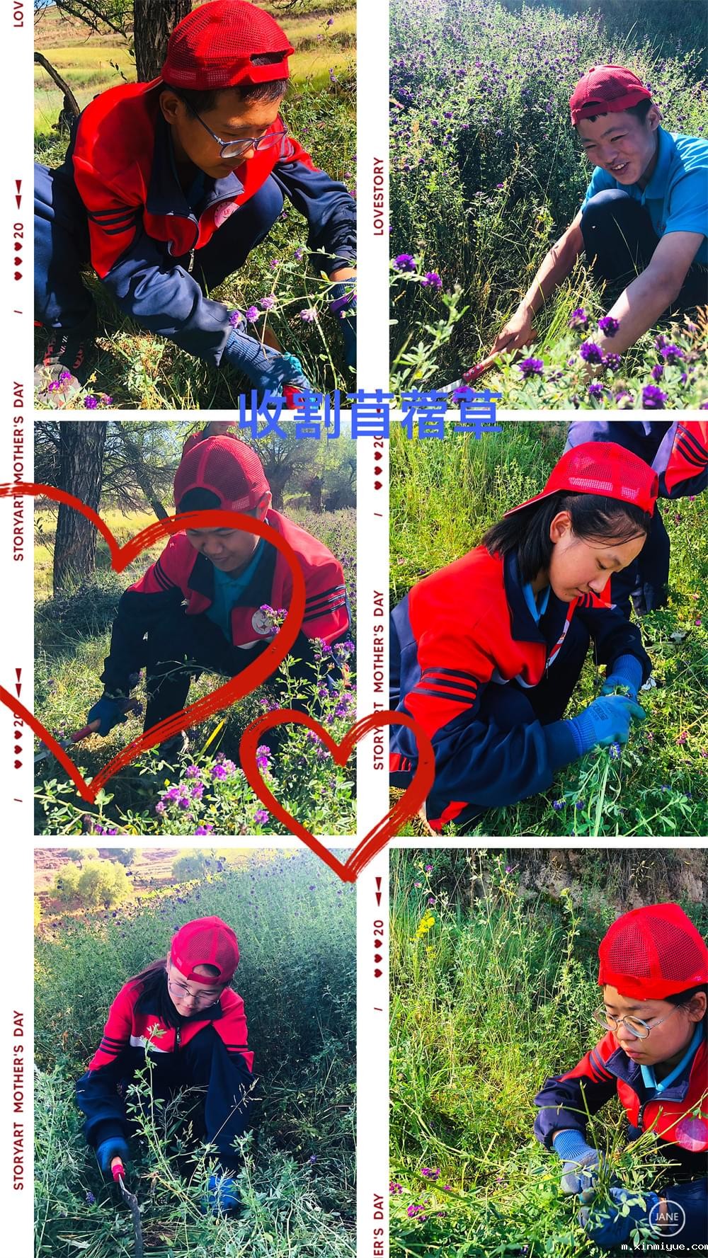 必威betway中文官网「2022年成长不烦恼」磨炼营第11天：牵手贫困儿童 体验山村农活上学路_m.xinmiyue.com