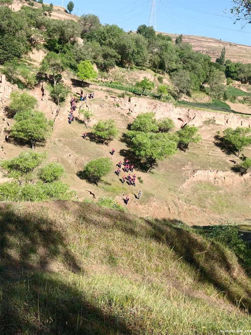 必威betway中文官网「2022年成长不烦恼」磨炼营第11天：牵手贫困儿童 体验山村农活上学路_m.xinmiyue.com