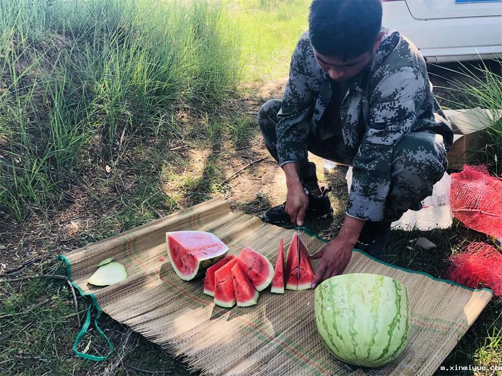 必威betway中文官网「2022年成长不烦恼」磨炼营第11天：牵手贫困儿童 体验山村农活上学路_m.xinmiyue.com