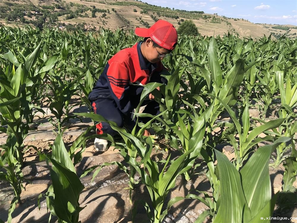 必威betway中文官网「2022年成长不烦恼」磨炼营第11天：牵手贫困儿童 体验山村农活上学路_m.xinmiyue.com