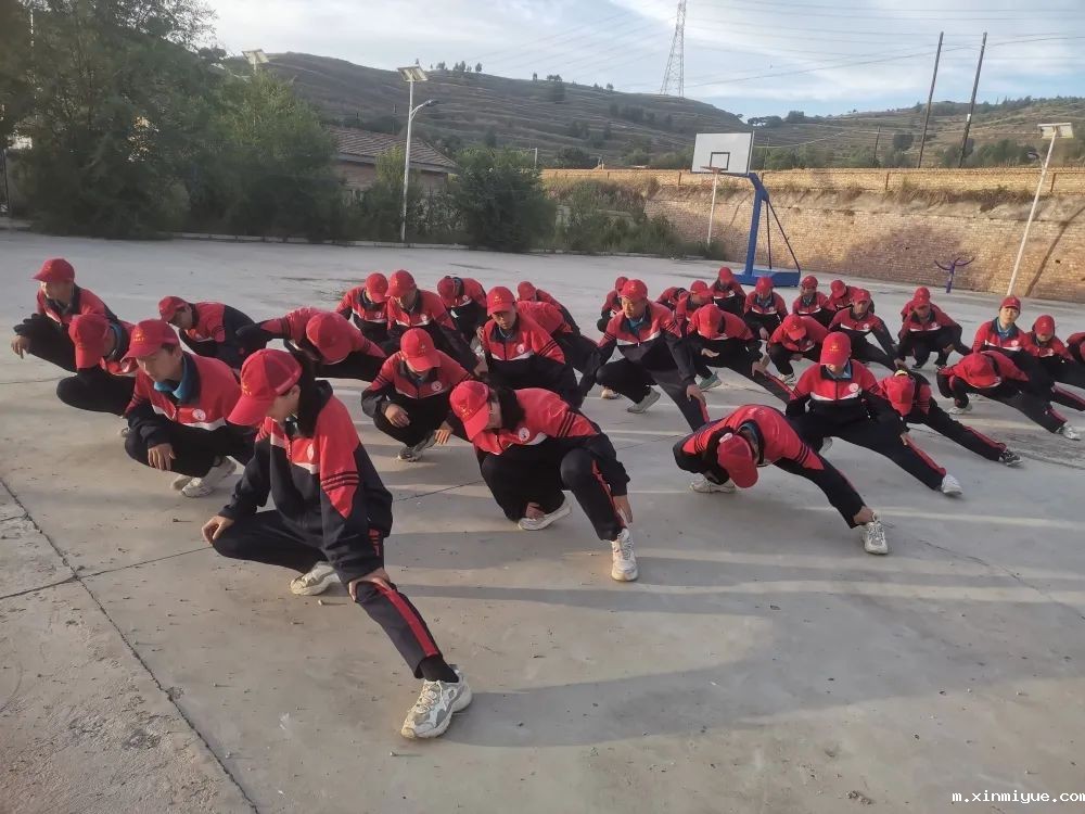 必威betway中文官网「2022年成长不烦恼」磨炼营第五天：与苜蓿草为伴 体验收割的快乐_m.xinmiyue.com