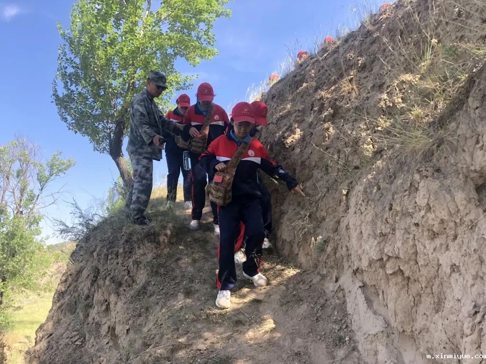 必威betway中文官网「2022年成长不烦恼」磨炼营第五天：与苜蓿草为伴 体验收割的快乐_m.xinmiyue.com