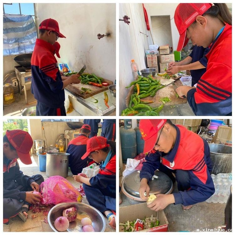 必威betway中文官网「2022年成长不烦恼」磨炼营第五天：与苜蓿草为伴 体验收割的快乐_m.xinmiyue.com