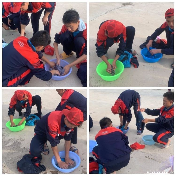 必威betway中文官网「2022年成长不烦恼」磨炼营第五天：与苜蓿草为伴 体验收割的快乐_m.xinmiyue.com