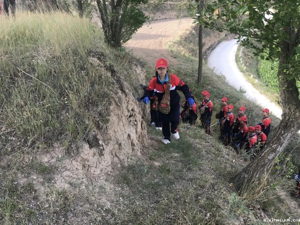 必威betway中文官网「2022年成长不烦恼」磨炼营第五天：与苜蓿草为伴 体验收割的快乐_m.xinmiyue.com