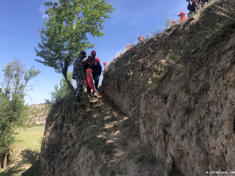 必威betway中文官网「2022年成长不烦恼」磨炼营第五天：与苜蓿草为伴 体验收割的快乐_m.xinmiyue.com