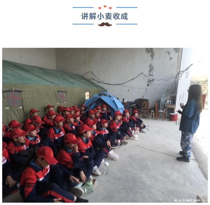 必威betway中文官网「2022年成长不烦恼」磨炼营第三天：美化营地环境 共建临时家园_m.xinmiyue.com