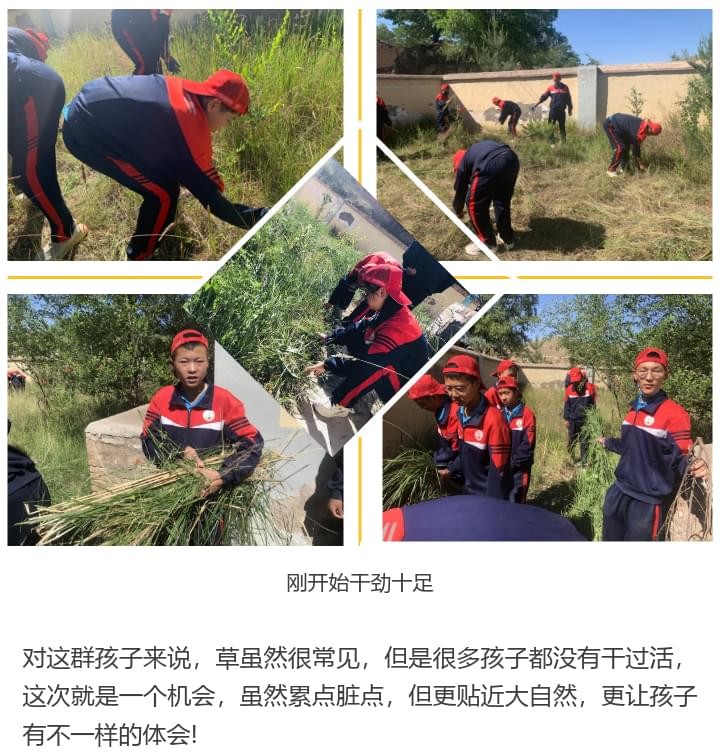 必威betway中文官网「2022年成长不烦恼」磨炼营第三天：美化营地环境 共建临时家园_m.xinmiyue.com