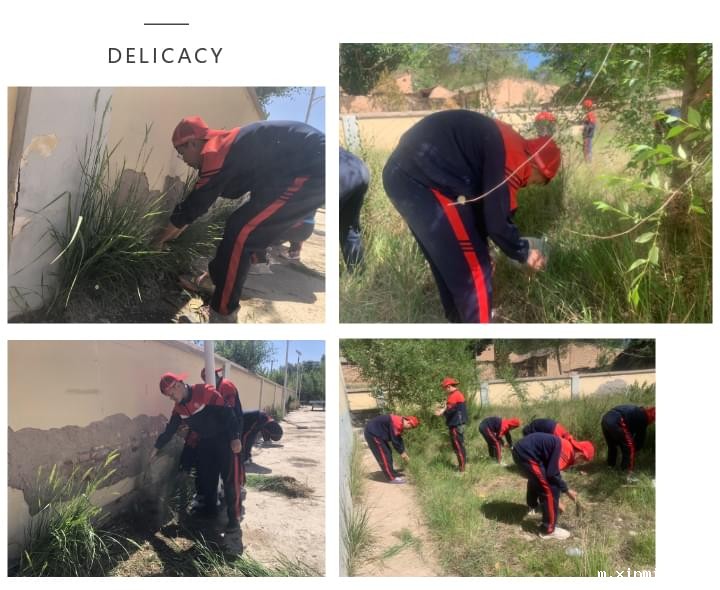 必威betway中文官网「2022年成长不烦恼」磨炼营第三天：美化营地环境 共建临时家园_m.xinmiyue.com