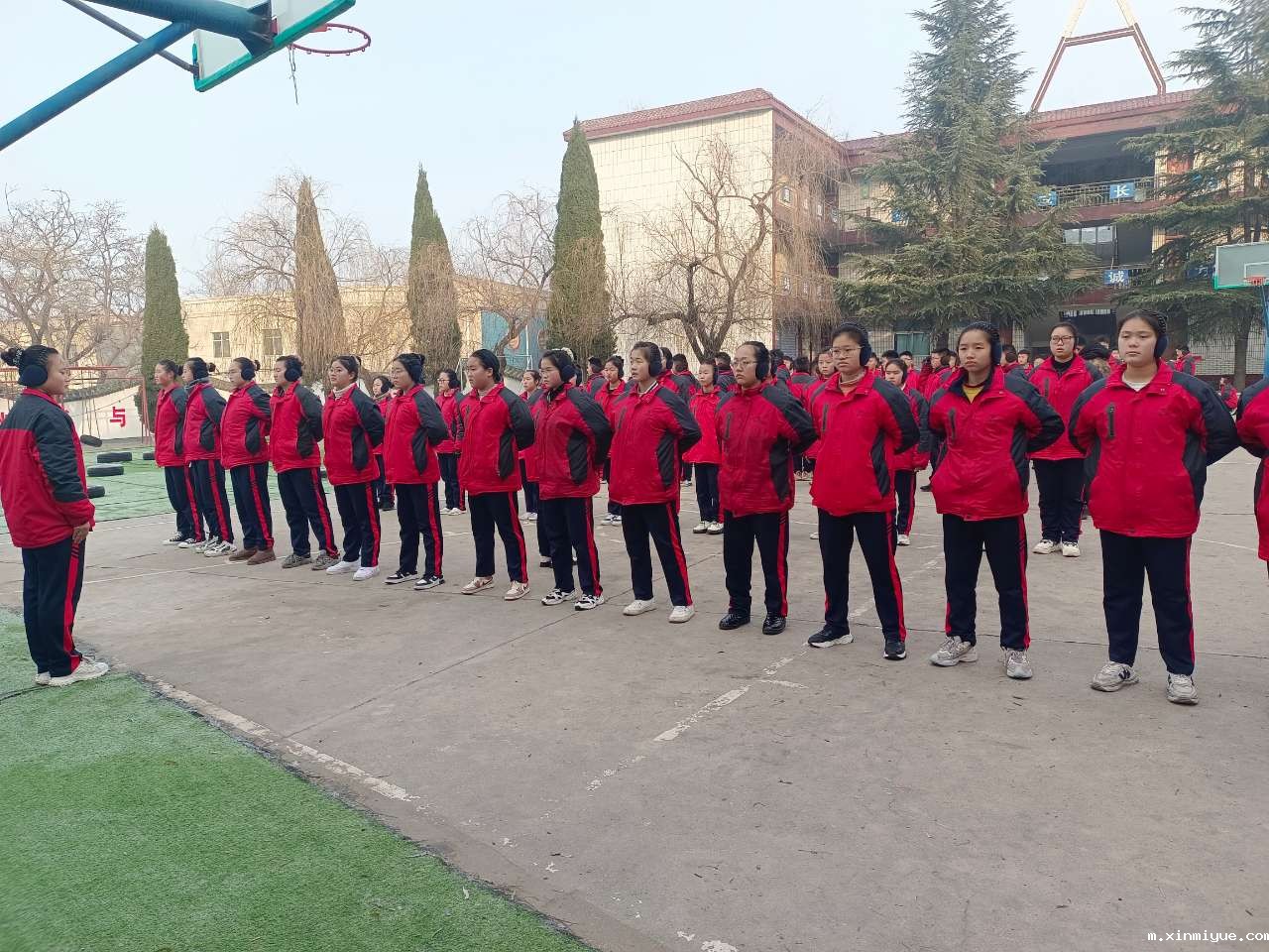  家长们带娃，一位母亲的育儿金句值得收藏！_m.xinmiyue.com