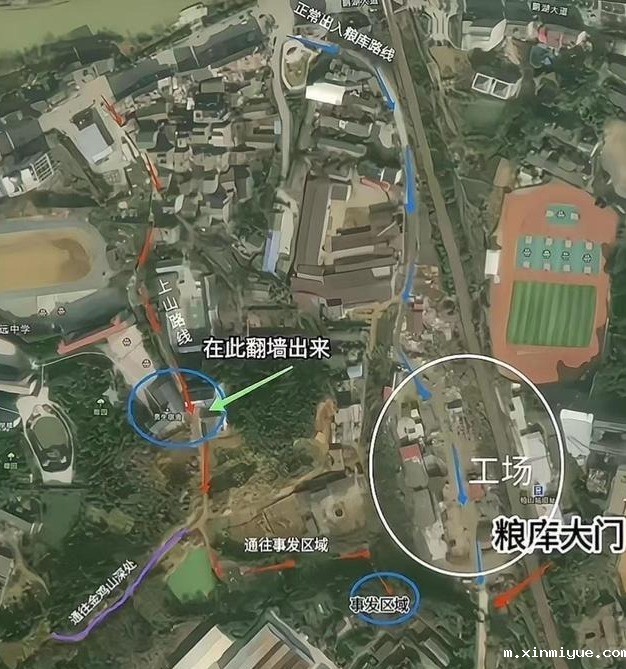 谜一样的胡鑫宇，谜一样的真相，几个质疑令人心惊？_m.xinmiyue.com