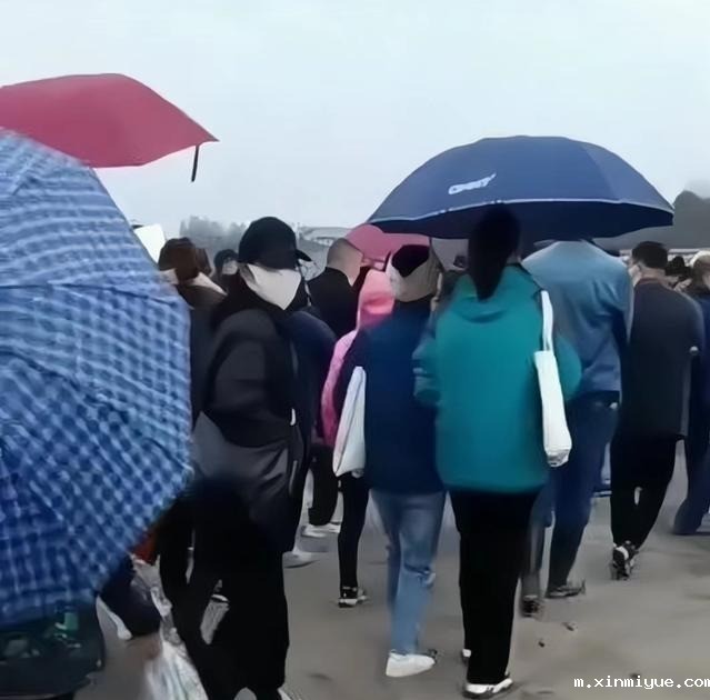 谜一样的胡鑫宇，谜一样的真相，几个质疑令人心惊？_m.xinmiyue.com