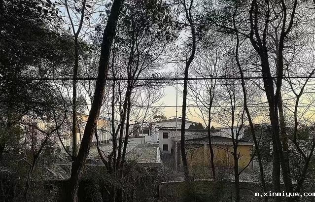 谜一样的胡鑫宇，谜一样的真相，几个质疑令人心惊？_m.xinmiyue.com