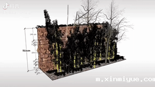 胡鑫宇事件虽然真相大白，但青少年心理问题值得父母警惕······_m.xinmiyue.com