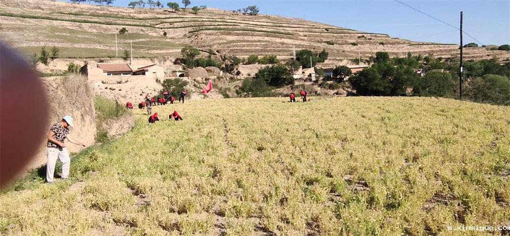 当父母遇到沉默的青春期，与孩子有话可说，就是教育路上最大的幸福！_m.xinmiyue.com