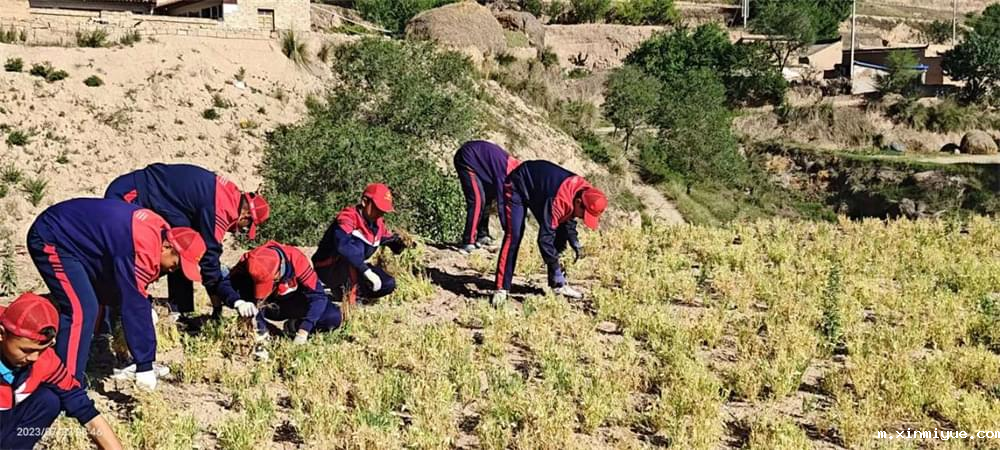必威betway中文官网警钟篇：别怪孩子不争气，孩子出问题基本上都是父母惹的祸！_m.xinmiyue.com